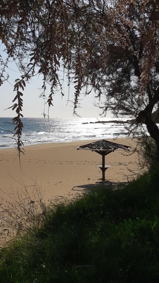 Villa Armonia Vitaládes Dış mekan fotoğraf